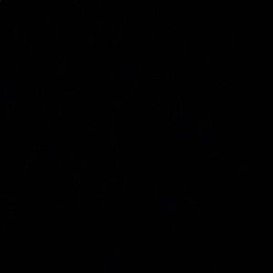 Meet your Posher, Bella